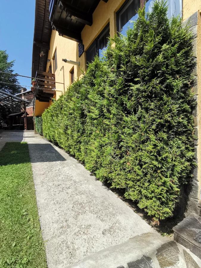 Shelby Accommodation -Adult Only- ซินายา ภายนอก รูปภาพ