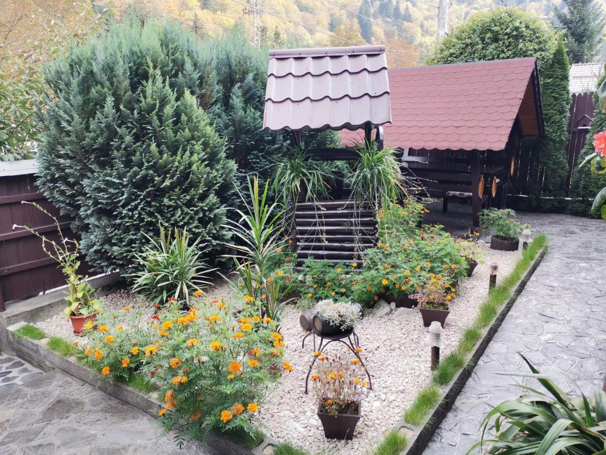 Shelby Accommodation -Adult Only- ซินายา ภายนอก รูปภาพ