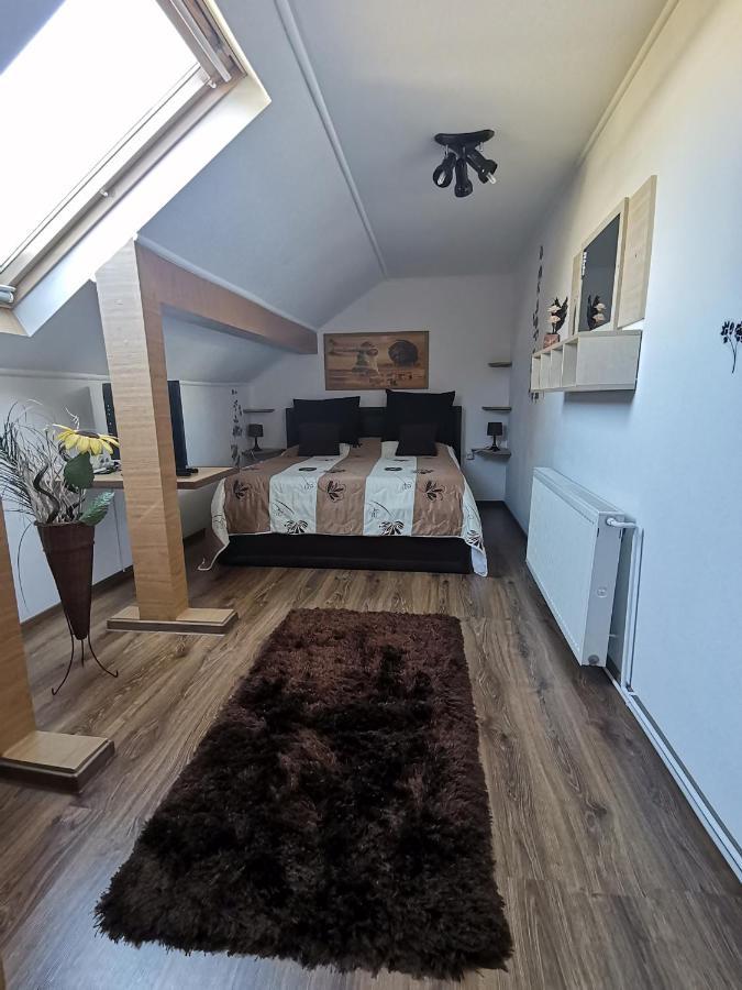 Shelby Accommodation -Adult Only- ซินายา ห้อง รูปภาพ